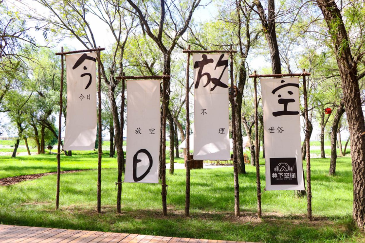 逃离城市”计划启动——玉泉区林下空间是您的不二之选