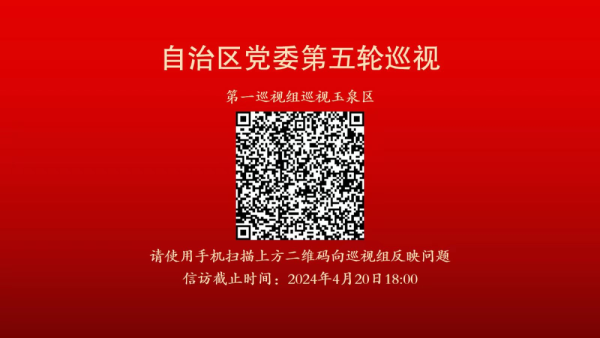 自治区党委第一巡视组巡视玉...
