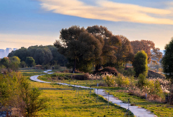 郊野公园 秋色浸染
