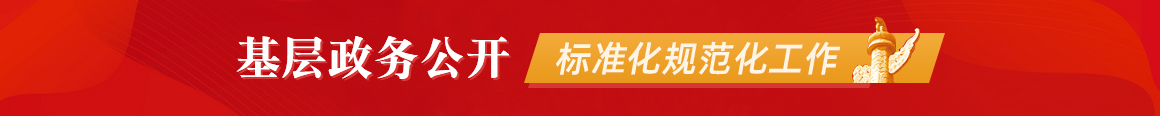 基层标准化